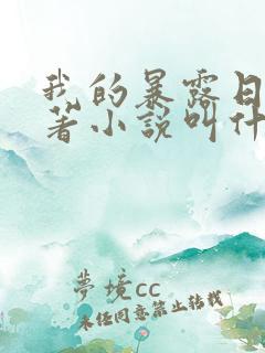 我的暴露日记原著小说叫什么