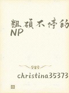 粗硕不停的进出NP