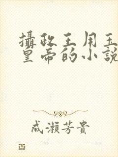 摄政王用玉髓整皇帝的小说