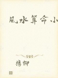 风水算命小说
