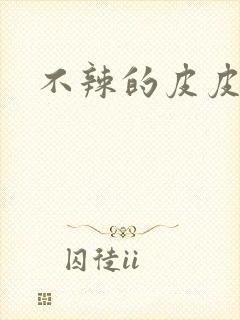 不辣的皮皮小说