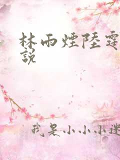 林雨烟陆霆琛小说