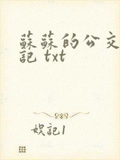 苏苏的公交车日记 txt