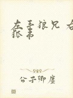 左手狼兄 右手狐弟