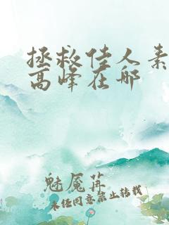 拯救佳人素柔 高峰在哪