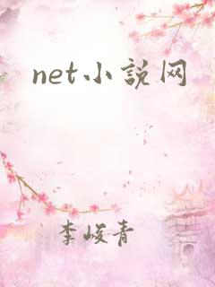 net小说网