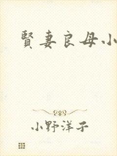 贤妻良母小说