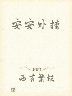 安安外挂