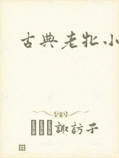 古典老牝小说