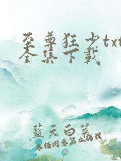 至尊狂少txt全集下载
