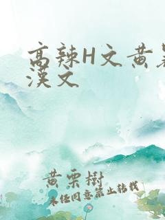 高辣H文黄暴糙汉文