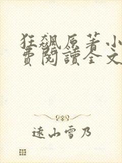 狂飙原著小说免费阅读全文