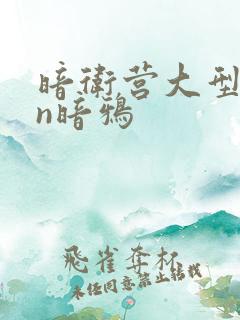 暗卫营大型hpn暗鸦