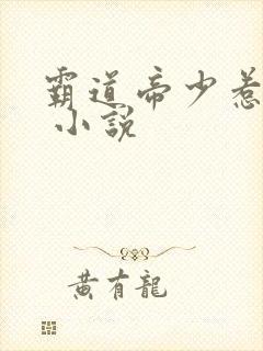 霸道帝少惹不得 小说