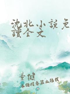 沈北小说免费阅读全文