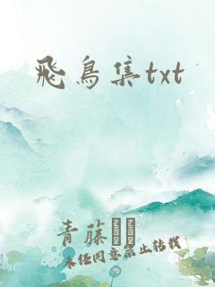 飞鸟集txt