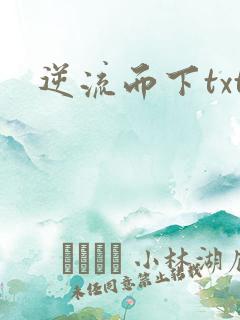 逆流而下txt