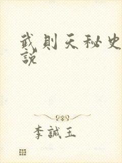 武则天秘史 小说