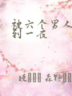 被六个男人躁J到一夜