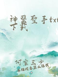 神医圣手txt下载