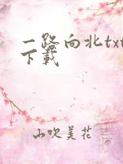 一路向北txt下载