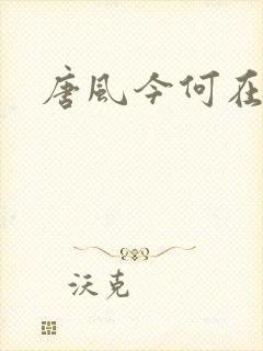 唐风今何在
