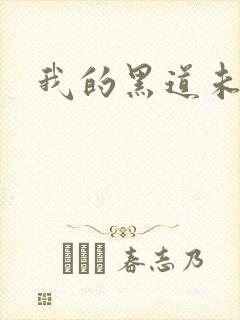 我的黑道未婚夫