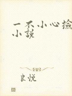 一不小心捡到爱小说