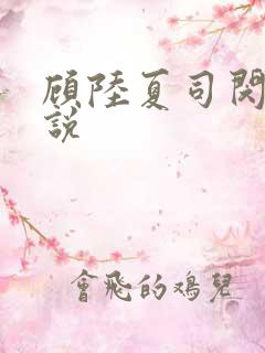 顾陆夏司闵郁小说