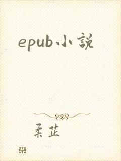 epub小说