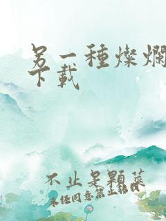 另一种灿烂生活下载