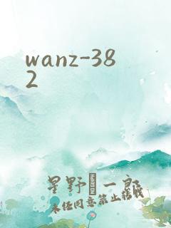 wanz-382