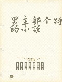 男主那个特别大的小说