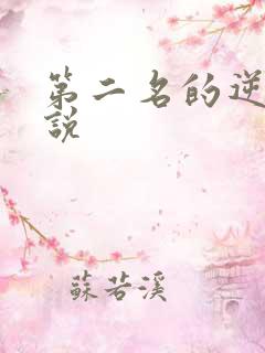 第二名的逆袭小说