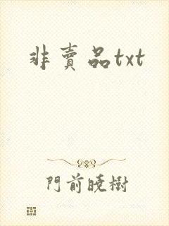 非卖品txt