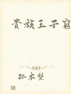 贵族王子穷公主