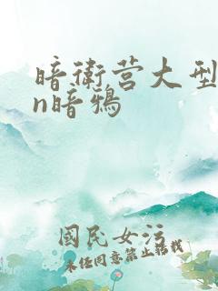 暗卫营大型hpn暗鸦