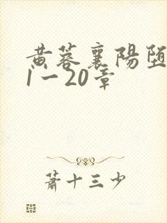 黄蓉襄阳堕落史1一20章