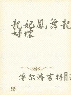龙妃凤舞龙王你好坏