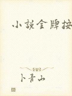 小说金牌按摩师