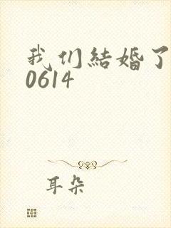 我们结婚了130614