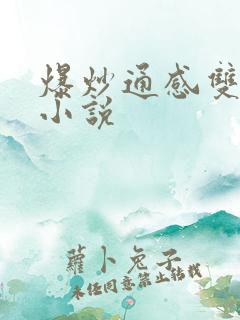 爆炒通感双胞胎小说