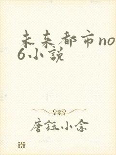 未来都市no.6小说