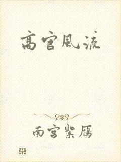 高官风流