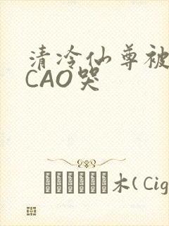 清冷仙尊被强制CAO哭