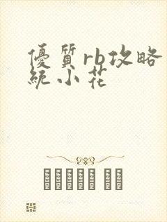 优质rb攻略系统小花