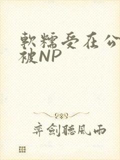 软糯受在公交车被NP