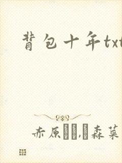 背包十年txt