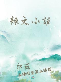 辣文小说