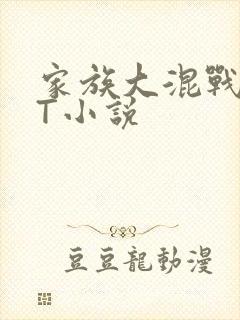 家族大混战TXT小说